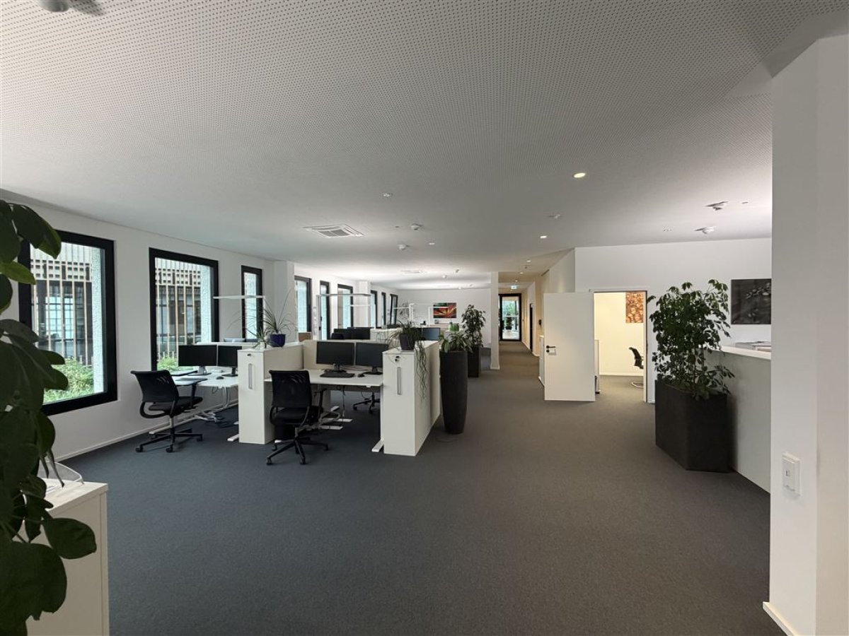 Open Space